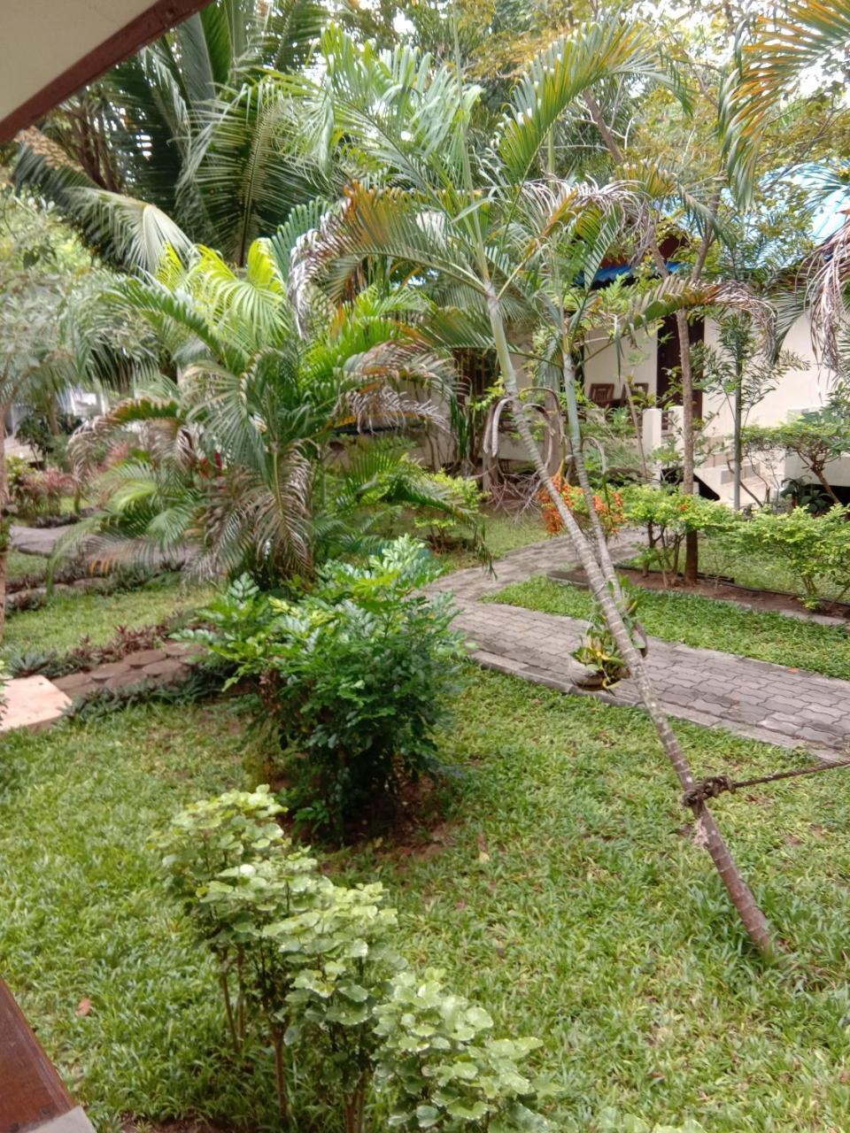 Prik Thai Resort Ko Tao Bagian luar foto