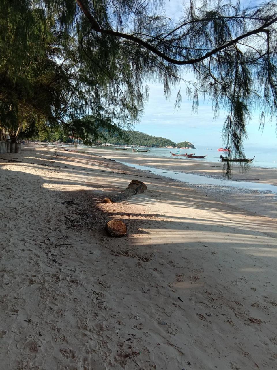 Prik Thai Resort Ko Tao Bagian luar foto